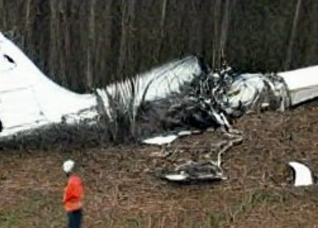 Flight 256 (Grebia) Alternate Territories Wiki Fandom