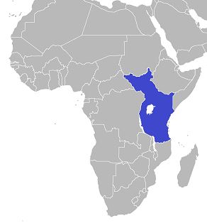 East African Federation | Alternate World History Wiki | Fandom