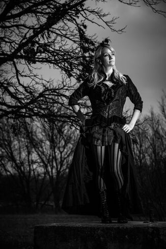 Mute The Silence  Gothic fashion victorian, Gothic victorian