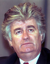 Evstafiev-Radovan Karadzic 3MAR94