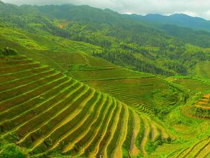 800px-Longji terrace - 03