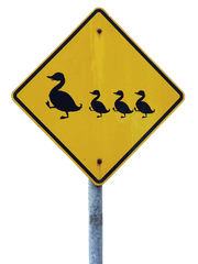 Ducks sign