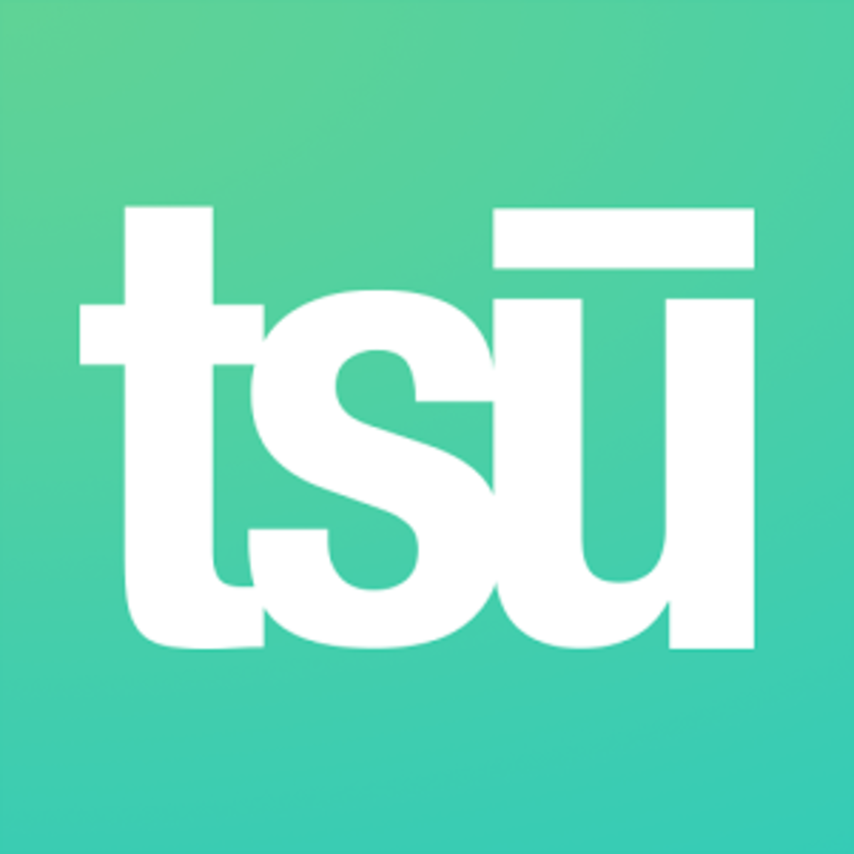 Teesu logo.png