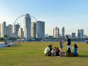 Singapore-picnic