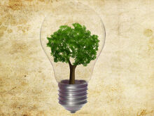 Electricity 3.jpg
