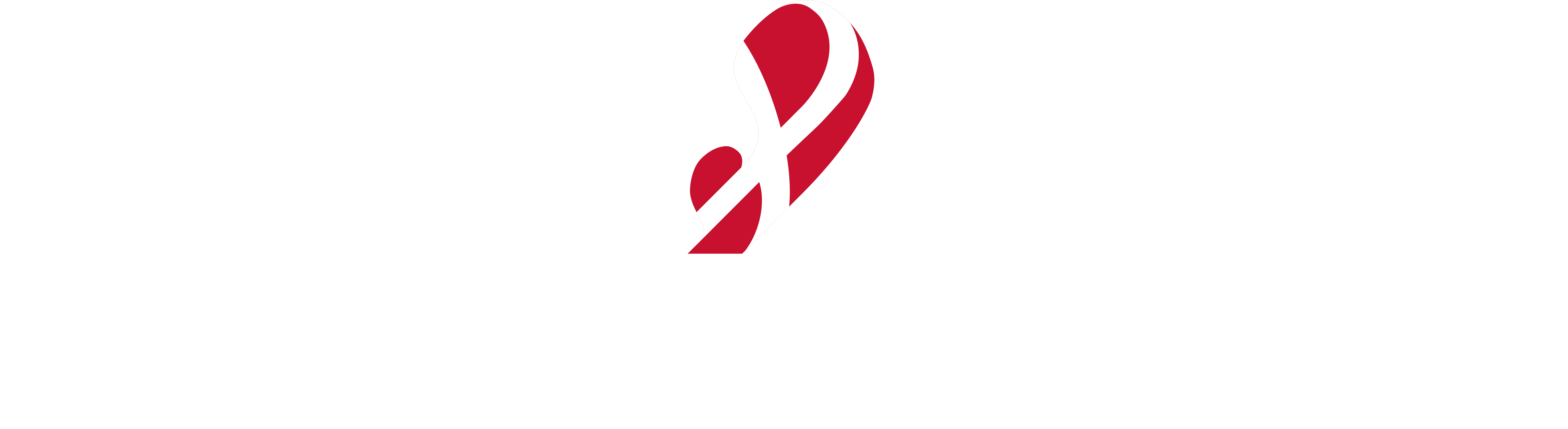 hungarofest-altervision-song-contest-wiki-fandom