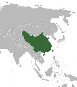 China, Wiki