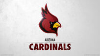 Phoenix Cardinals (2010-present)