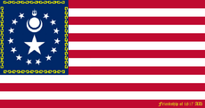 Flag of the United States 1817FriendshipMongolia