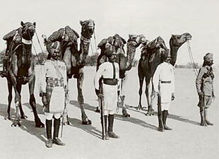 Bikaner Camel Corps Presidency Armies in British India