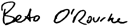 Firma de Beto O'Rourke (La Elección del Zar)