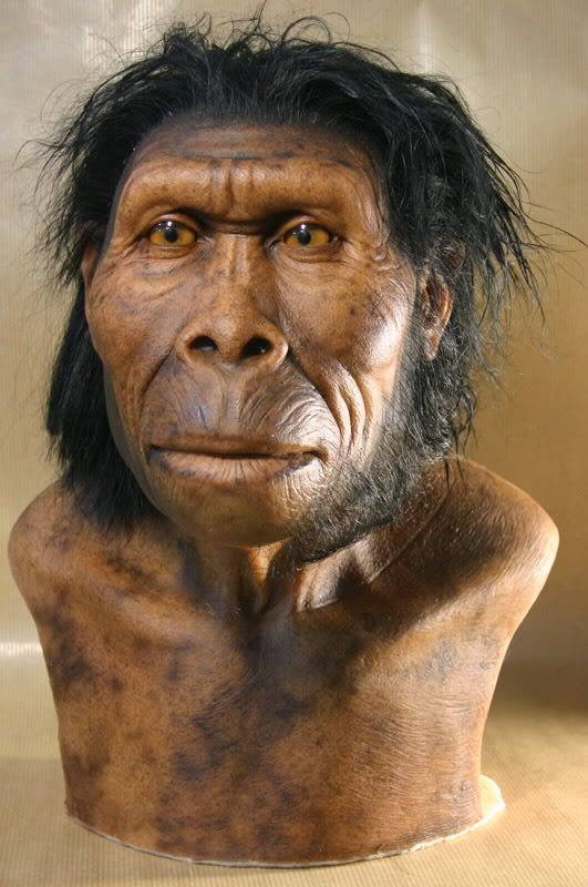 Homo habilis—A Premature Discovery: Remembered by One of Its