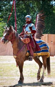 Winged hussar, historical reconstruction