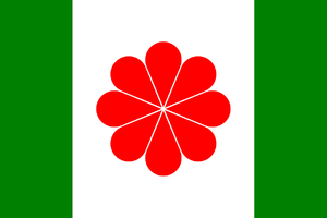 Flag of Taiwan proposed 1996
