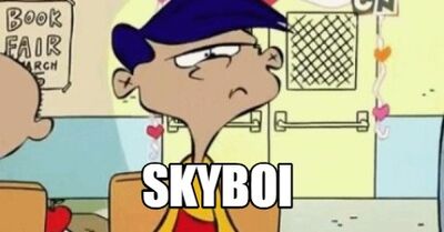 Skyboi complete.jpg
