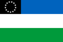 Bandera de Río Negro