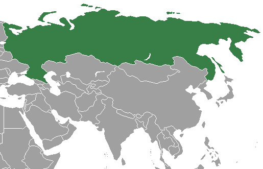 Bandeira Russa Com Brasão Armas Rússia Kremlin Brasão Presidencial