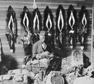 Stinktierjäger19JhdSPA