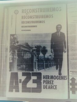 Afiche - Hermógenes para Diputado