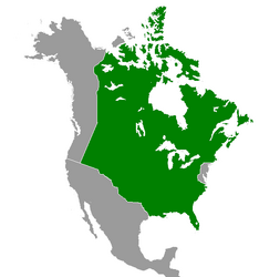 Quebec (Great Poland).png