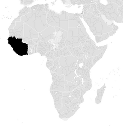 New Afrika Viva (PMII).png