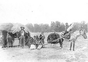 Cheyenne Travelers