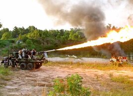 Flamethrower-cannon-picture-08