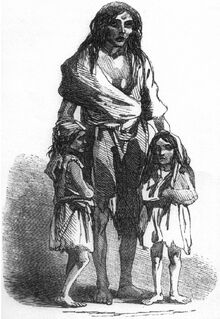 Irish potato famine