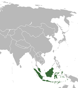 Amazon.com: Conceptualizing the Malay World: Colonialism and