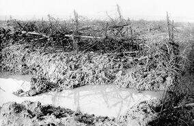 Battle of the Somme. Barbed wire at Beaumont Hammel.