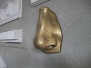 Goldenenase2
