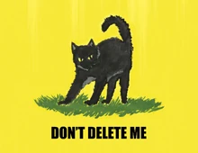 Неформальный флаг сохранизма