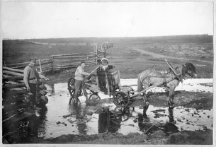 Ff32575e03395611584375525