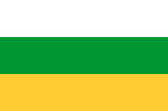 Flag of Russia-Ukraine-Belarus Union, comprising the unique features of the three flags: the white stripe of the flag of Russia, green — of Belarus, and yellow — of Ukraine.