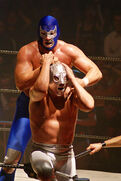 El Hijo De Santo vs Blue Demon Jr