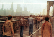 The horde in Manhattan, c. 1984