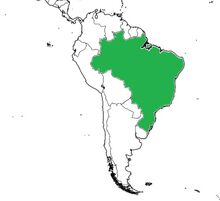 BRASIL URSSEA