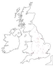 Nuclear impact points2