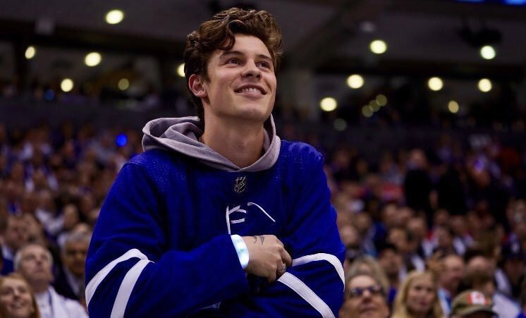 Shawn Mendes Wikipedia Controversies And Surprises - 5hg90kd