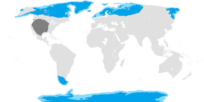 Blank Geographical Map (36)