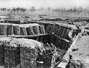 Evgenigradtrenches