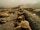 Iranian soldiers trench Iran-Iraq War.jpg