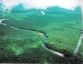 Orinoco Delta