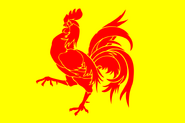 Flag of Wallonia (the French Community and Walloon Region) 1991–present (French Community) 1998–present (Walloon Region)