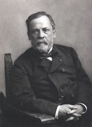 Louis Pasteur: Erfinder der Sterilisation