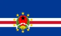 The flag of Free Guiné.