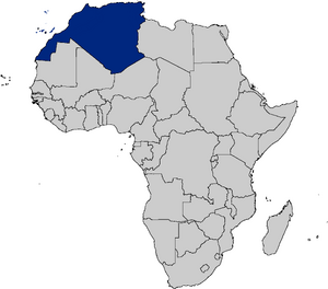 African french territory (REA)