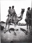 Bikaner Camel Corps, El Arish 1918 (IWM Q50888)