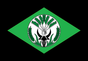 MadagascarFlag (Parallel Brazil)