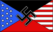 Флаг Американской Нацисткой Партии